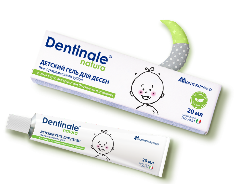 main dentinale~12