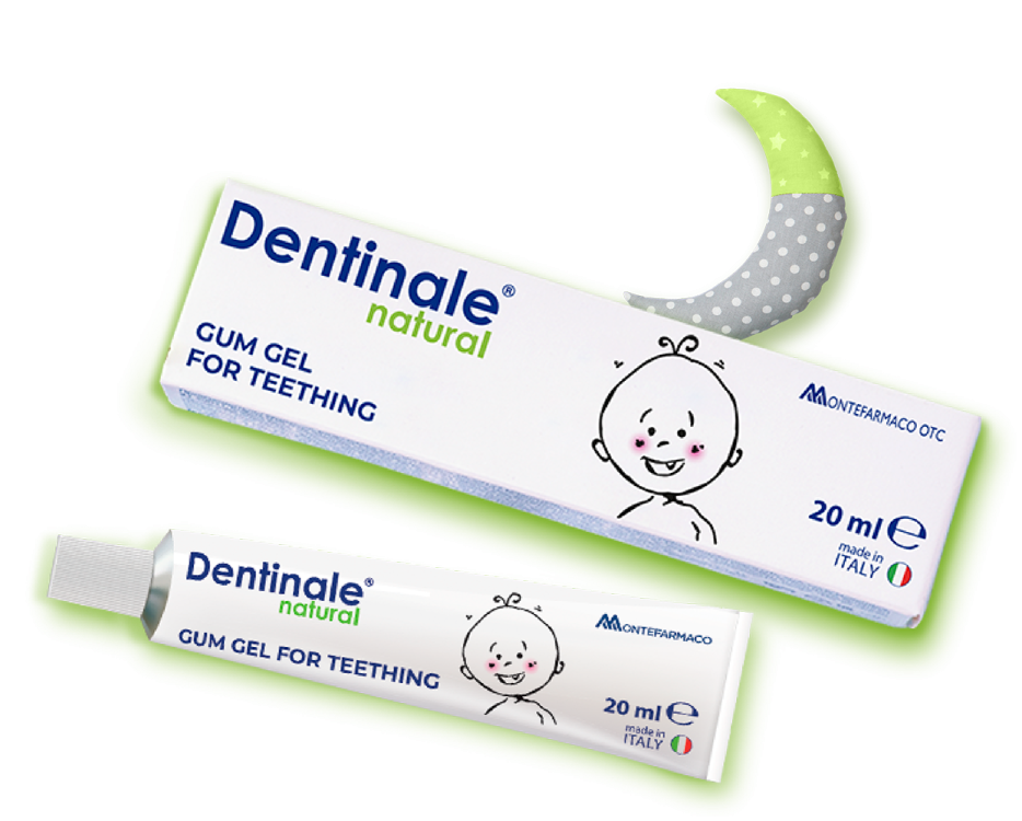 main dentinale~12@LV